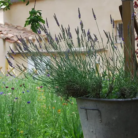 L'ecluse Au Soleil Holiday home Sougraigne